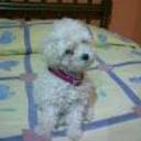 siguiente