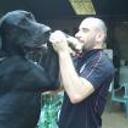 siguiente