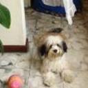 siguiente