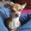siguiente
