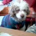 siguiente