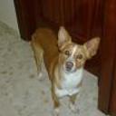 siguiente