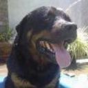 siguiente