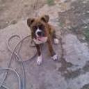 siguiente