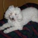 Wanda