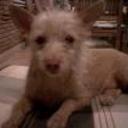 Wilma