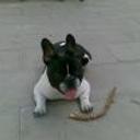 siguiente