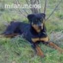 siguiente