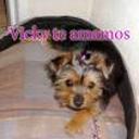 siguiente