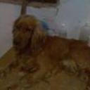 siguiente