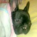 siguiente