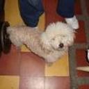siguiente