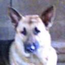 anterior
