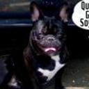 siguiente