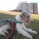 siguiente