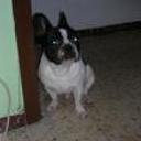 siguiente