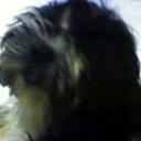 anterior