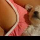 siguiente