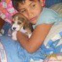siguiente