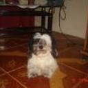 siguiente