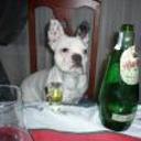 siguiente