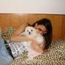 siguiente