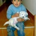 siguiente