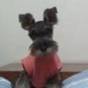 siguiente