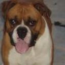 Homero