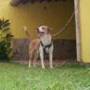 siguiente
