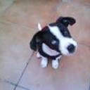 siguiente