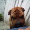 siguiente