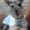 siguiente