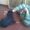 siguiente