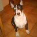 siguiente