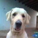 siguiente