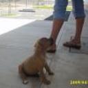 siguiente