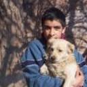 siguiente