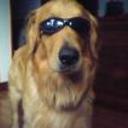 Toby