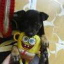 siguiente