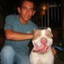 siguiente