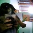 siguiente