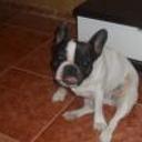 siguiente