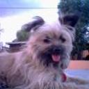 siguiente