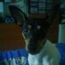 siguiente