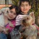 siguiente