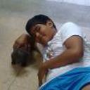 siguiente