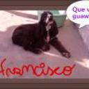 siguiente
