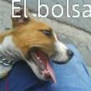 siguiente