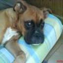 siguiente